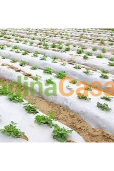 EUR Black-White Mulching Film, 30 microns, Zig-Zag Perforated 1.2 x 500 ml
