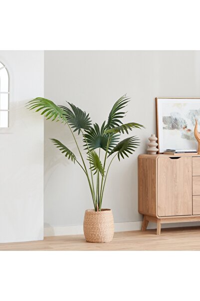Generic Teodora Fan Palm Tree - 160 cm