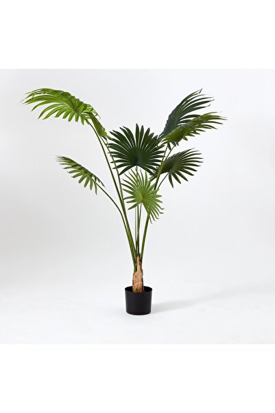 Generic Teodora Fan Palm Tree - 160 cm