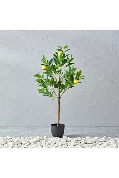 Generic Alicia Lemon Tree with Pot - 45x39x90 cm