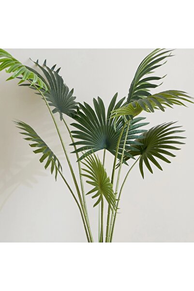 Generic Teodora Fan Palm Tree - 160 cm