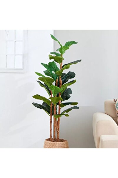 Generic Teodora Wedel Tree - 150 cm