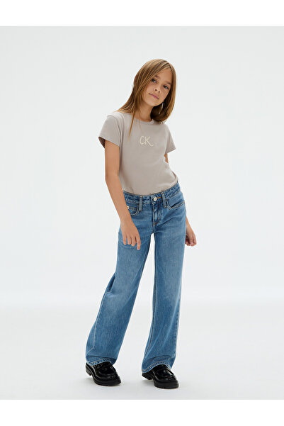 Calvin Klein Girls Mourning Dove Glitter Slim Fit Short Sleeve T-Shirt