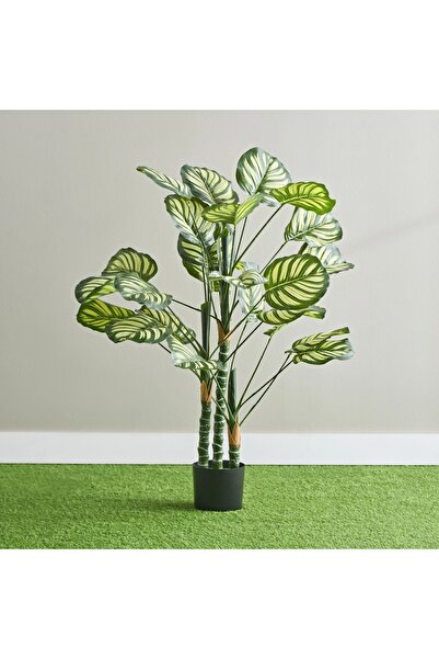 Generic Artificial Calathea Teodora Tree - 105 cm