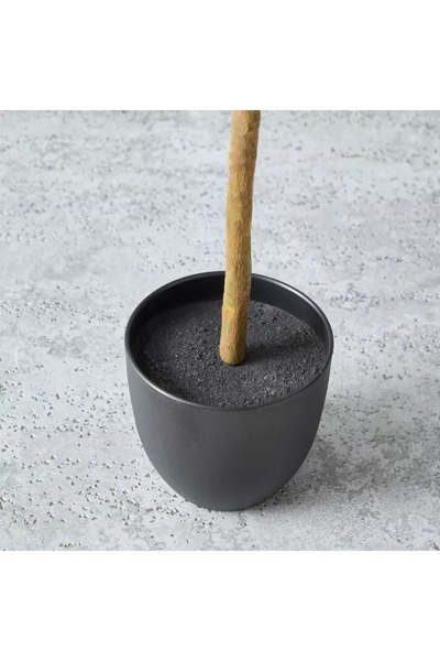 Generic Alicia Lemon Tree with Pot – 45x39x90 cm