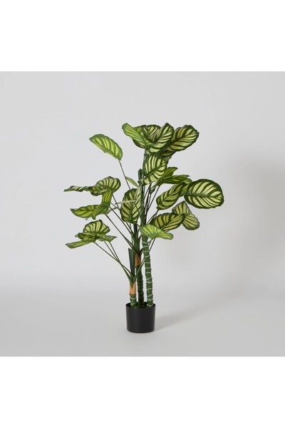 Generic Artificial Calathea Teodora Tree - 105 cm