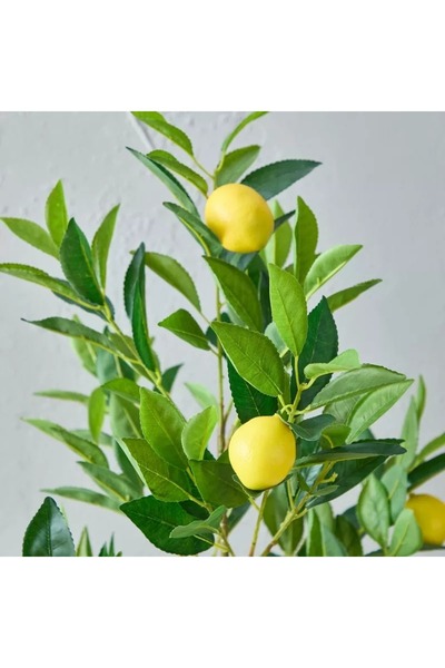 Generic Alicia Lemon Tree with Pot - 45x39x90 cm