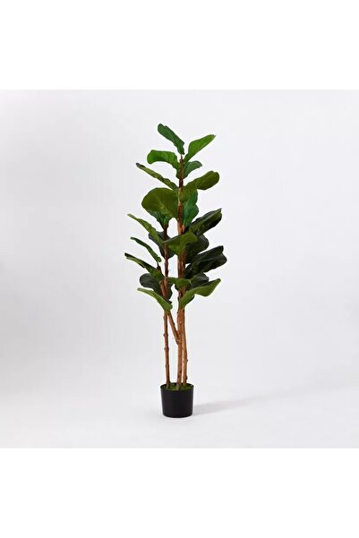 Generic Teodora Wedel Tree - 150 cm