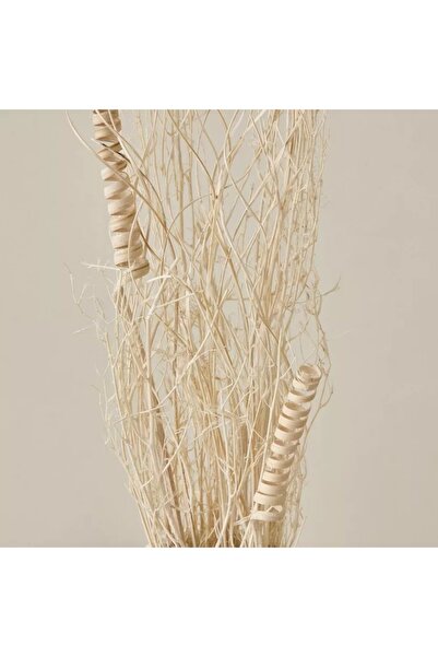 Generic Assorted dried herbs in a paper tray - 60 cm