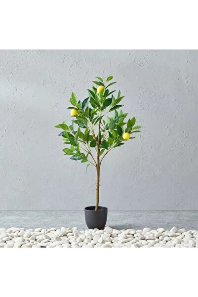 Generic Alicia Lemon Tree with Pot – 45x39x90 cm