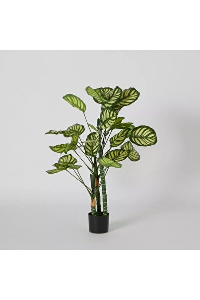 Generic Artificial Calathea Teodora Tree - 105 cm
