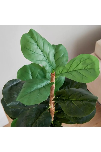 Generic Teodora Wedel Tree - 150 cm