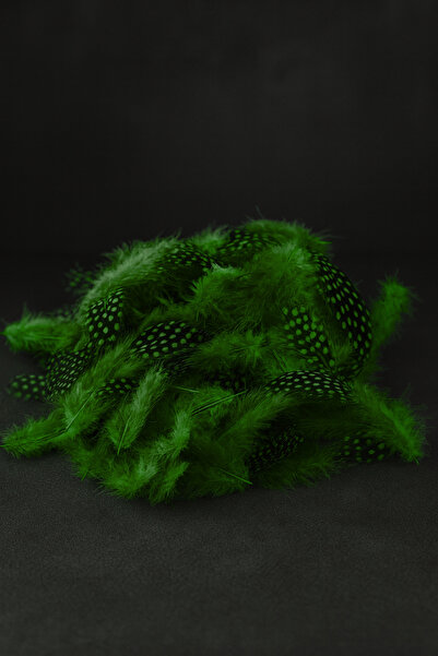 China Bazaar Yeşil Siyah Kuş Tüyü 50 Adet - Dekor, Bird Feather, Tavus Kuşu, ...