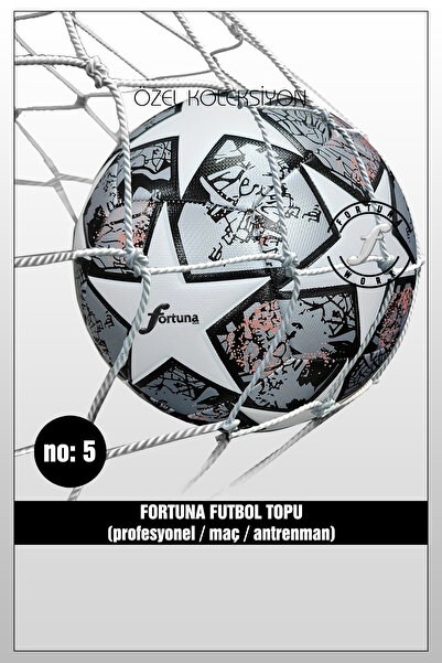 Fortuna Work Futbol Topu Pro
