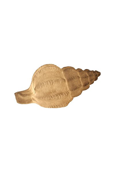 Lumienza Polyester Deniz Kabuğu Masa Lambası GLR-19S0009LW