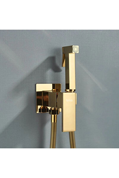 2H Concealed bidet faucet, bidet faucet, toilet faucet, gold bathroom