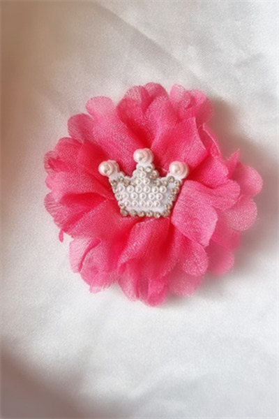 Trade Bazaar Children's Princess Crown Detail 2-Piece Collet Buckle Set Clip Buckle Set Crowned Collet