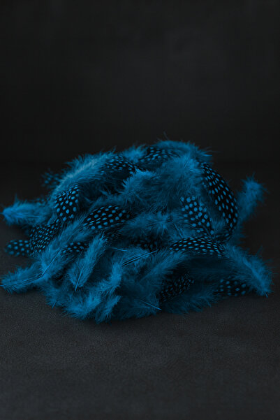 China Bazaar Mavi Siyah Kuş Tüyü 50 Adet - Dekor, Bird Feather, Tavus Kuşu, Şeffaf Balon Tüyü