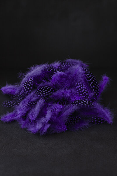 China Bazaar Mor Siyah Kuş Tüyü 50 Adet - Dekor, Bird Feather, Tavus Kuşu, Şe...