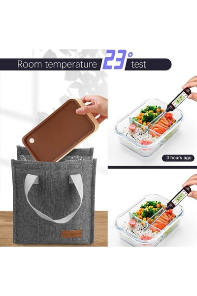 Optim Solution Geanta Termoizolanta 3.3l tip Bento, pentru Alimente / Bautura, 22.5x13x25.5 cm, Camping Cooler Bag,