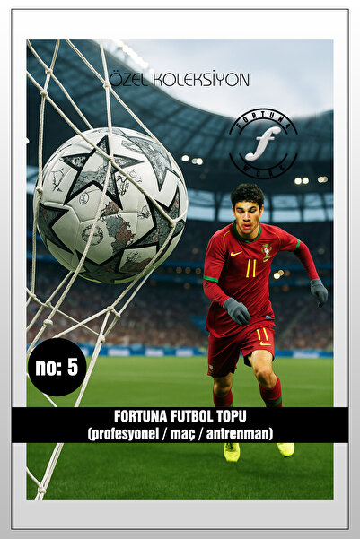 Fortuna Work Futbol Topu Pro