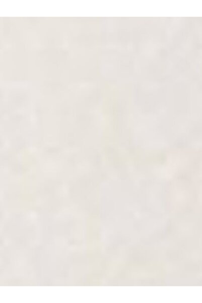 Levi's Everyday Sweatshirt