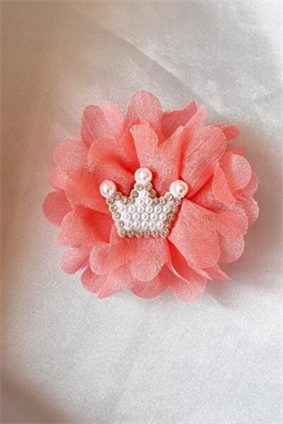 Trade Bazaar Children's Princess Crown Detail 2-Piece Collet Buckle Set Clip Buckle Set Crowned Collet