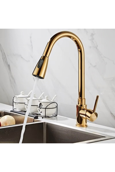 2H Freestanding, mobile kitchen faucet with gold pull-out spout and flexible hose