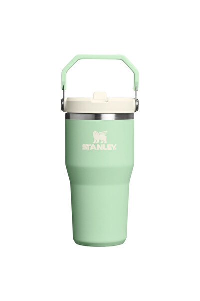 Stanley The IceFlow™ Flip Straw Tumbler 20 oz | Pistachio Pipetli Termos Bard...