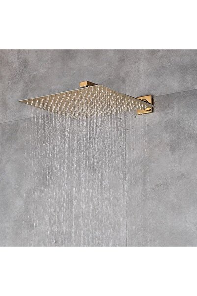 2H Shower faucet, rain shower head, gold gloss, built-in mixer