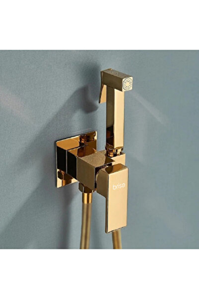 2H Concealed bidet faucet, bidet faucet, toilet faucet, gold bathroom