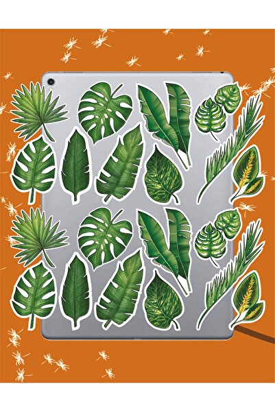 Hediyeni Al مجموعة ملصقات الأوراق |   ملصق للكمبيوتر المحمول والدفتر والتابلت والهاتف ودفتر الملاحظات ومجلة البوليت