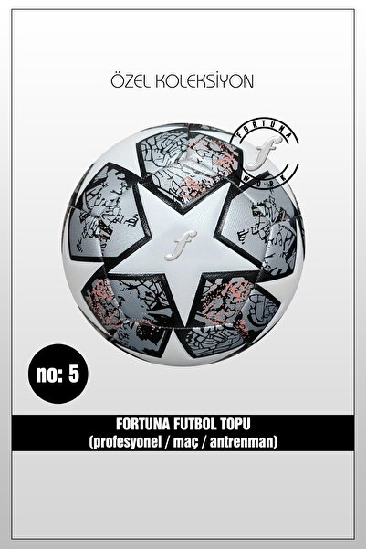 Fortuna Work Futbol Topu Pro
