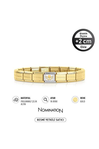 NOMİNATİON Italy Composable Klasik 18k Kanat Üstünde Kalp Paslanmaz Çelik Bil...