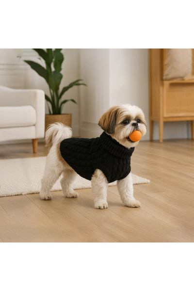 zola Vesta pentru animale de companie, Zola, gaura pentru prindere lesa, marimea L, 36 x 18 cm, negru