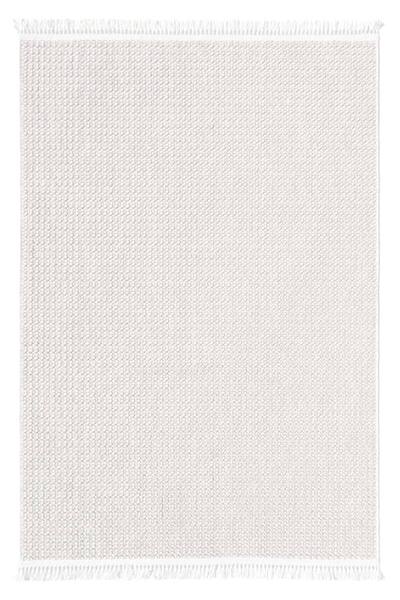 Aden Yonca Dokuma Halı | Makinede Yıkanabilir | Yumuşak Dokulu Salon Halısı |...