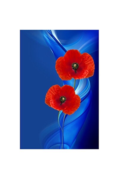 GRELYS PRINT Pictură pe pânză, Pereche de maci, 60 x 90 cm, Ramă din lemn, Mu...