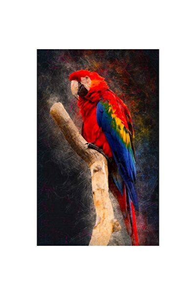 GRELYS PRINT Tablou Canvas, Parrot, 50 x 80 cm, Rama lemn, Multicolor