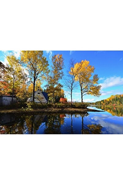 GRELYS PRINT Tablou Canvas, Cad frunzele, 70 x 50 cm, Rama lemn, Multicolor