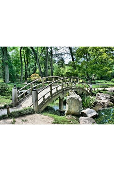 GRELYS PRINT Tablou Canvas, Pod de piatra, 90 x 60 cm, Rama lemn, Multicolor