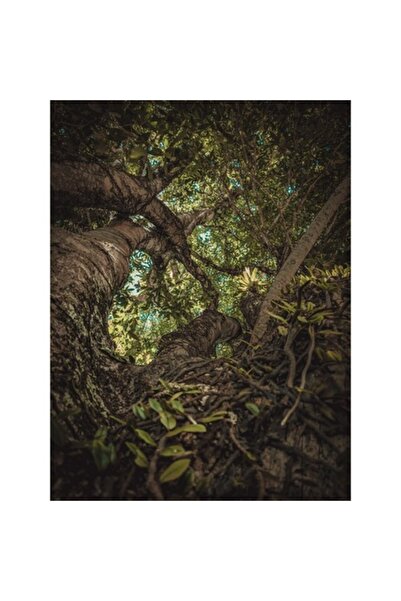 GRELYS PRINT Tablou Canvas, Copac Urias, 60 x 80 cm, Rama Lemn, Multicolor