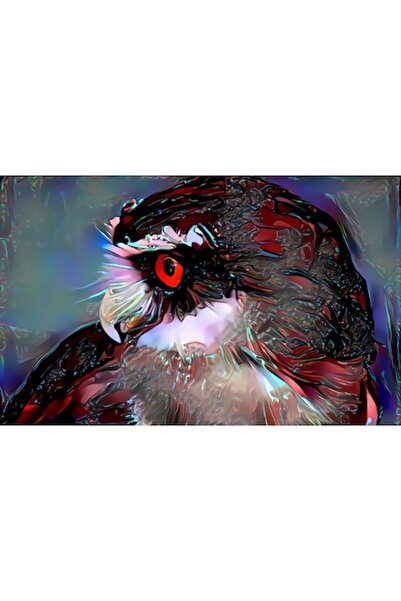 GRELYS PRINT Pictură pe pânză, Abstract, Pasăre, Bufniță, Multicolor, 80x50 cm