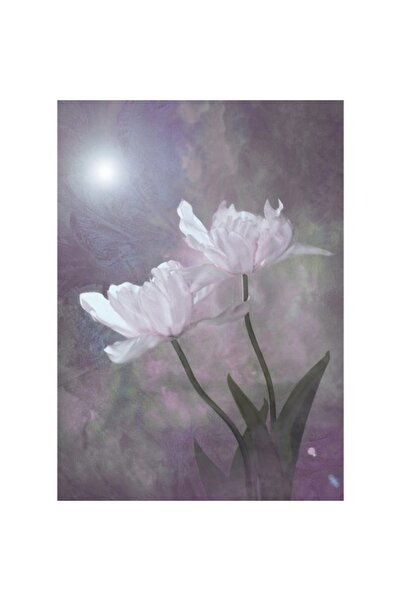 GRELYS PRINT Pictură pe pânză, Lalele albe, 50 x 70 cm, Ramă din lemn, Multic...