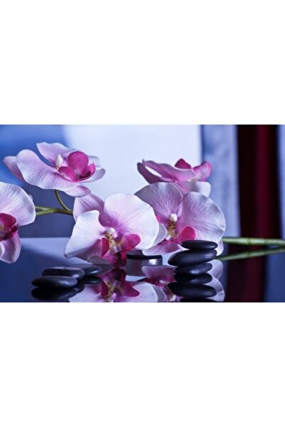 GRELYS PRINT Tablou Canvas, Relaxare, 80 x 50 cm, Rama lemn, Multicolor