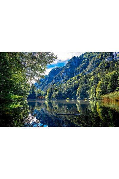 GRELYS PRINT Tablou Canvas, Lac de munte, Padure, Cabana, 80 x 50 cm, Rama le...