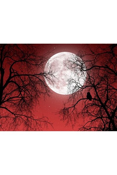 GRELYS PRINT Pictură pe pânză, Vorbind cu Luna, 80 x 60 cm, Ramă din lemn, Mu...