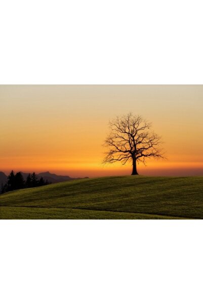 GRELYS PRINT Tablou Canvas, Singur in apus, 90 x 60 cm, Rama lemn, Multicolor