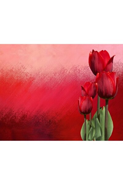 GRELYS PRINT Pictură pe pânză, Abstract, Lalele roșii, 80 x 60 cm, Ramă din l...