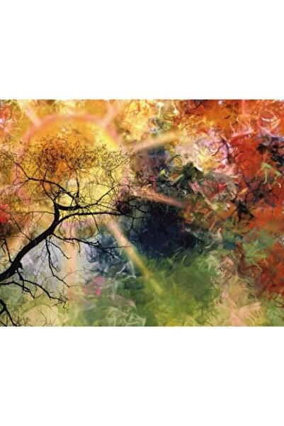 GRELYS PRINT Pictură pe pânză, Raze de soare, 80 x 60 cm, Ramă din lemn, Mult...