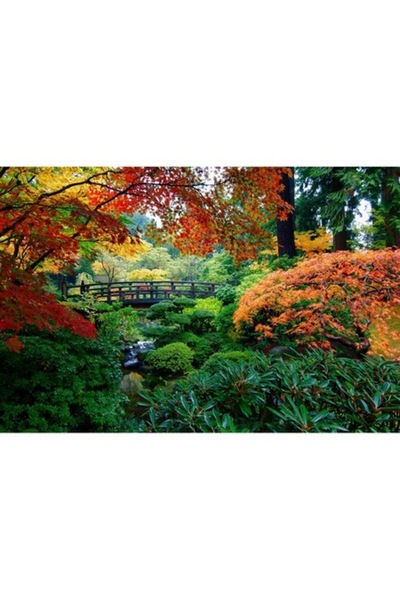 GRELYS PRINT Tablou Canvas, Pod de lemn, Culori de toamnă, 90 x 60 cm, Ramă l...